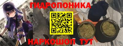 ПСИЛОЦИБИНОВЫЕ ГРИБЫ Славянск-на-Кубани