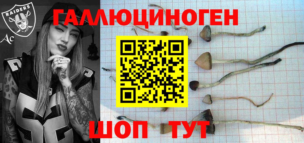 Галлюциногенные грибы прущие грибы  Вход с VPN  магазин продажи   Галлюциногенные грибы мухоморы  Озёры 